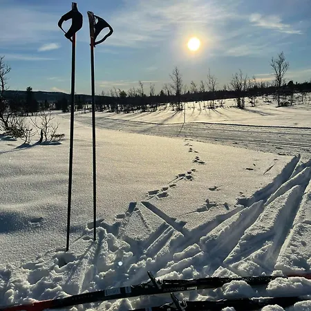 With A View And Close To Jotunheimen