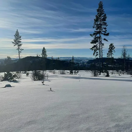 With A View And Close To Jotunheimen