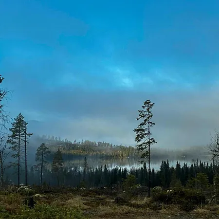 With A View And Close To Jotunheimen 펜션 *