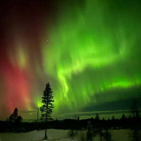 With A View And Close To Jotunheimen *