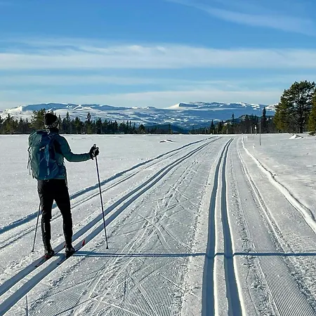 펜션 With A View And Close To Jotunheimen *