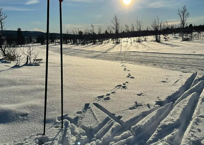 With A View And Close To Jotunheimen 度假居 赫根尼斯